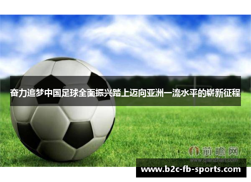 奋力追梦中国足球全面振兴踏上迈向亚洲一流水平的崭新征程