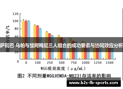 萨利巴 乌帕与楚阿梅尼三人组合的成功要素与协同效应分析
