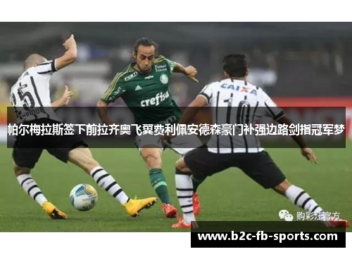 帕尔梅拉斯签下前拉齐奥飞翼费利佩安德森豪门补强边路剑指冠军梦