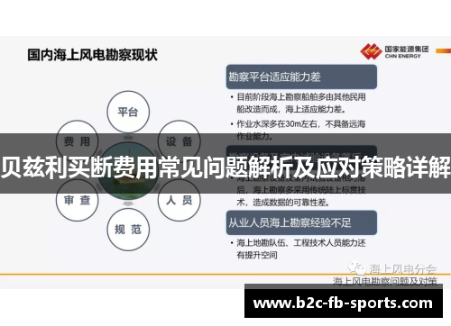 贝兹利买断费用常见问题解析及应对策略详解