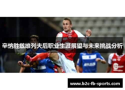 辛纳胜兹维列夫后职业生涯展望与未来挑战分析