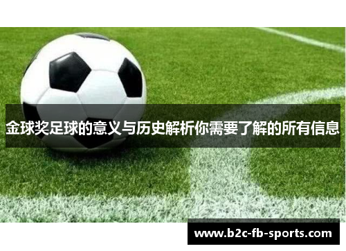 金球奖足球的意义与历史解析你需要了解的所有信息