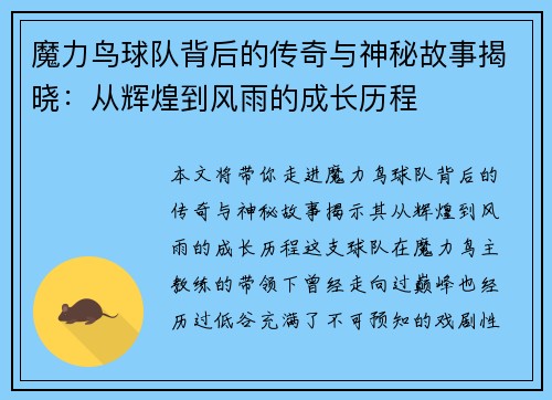 魔力鸟球队背后的传奇与神秘故事揭晓：从辉煌到风雨的成长历程